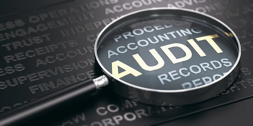Financial Statement Audits